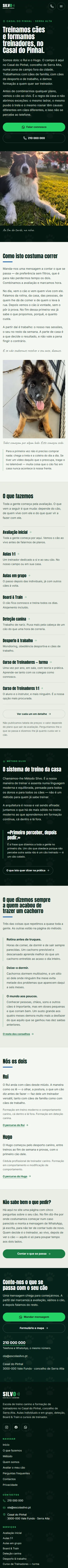 Silvo — telemóvel