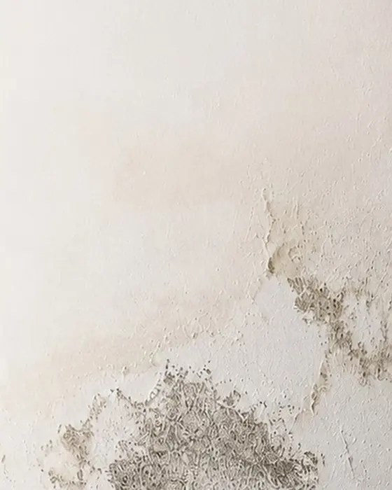 Parede interior com manchas de humidade e tinta a soltar-se